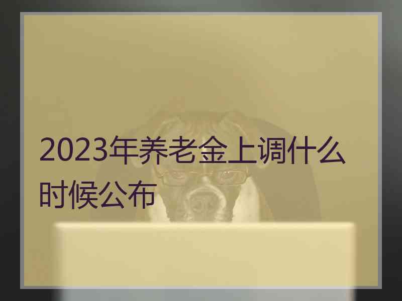 2023年养老金上调什么时候公布