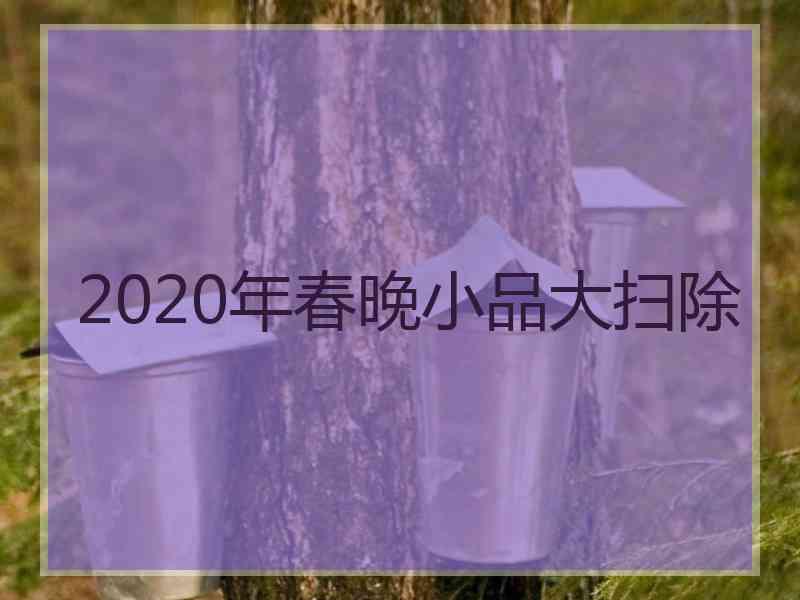 2020年春晚小品大扫除
