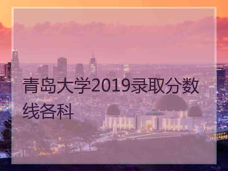 青岛大学2019录取分数线各科