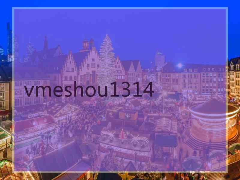 vmeshou1314
