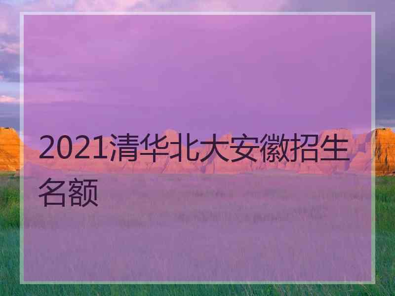 2021清华北大安徽招生名额