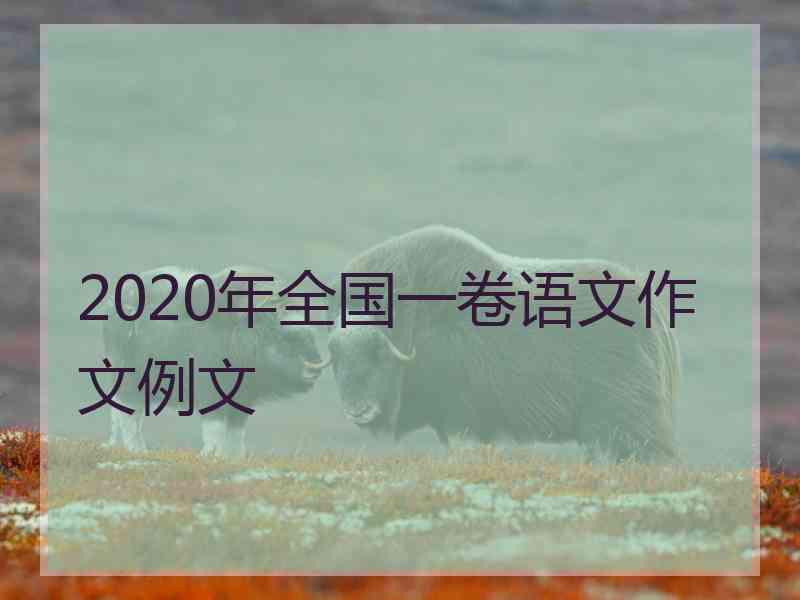 2020年全国一卷语文作文例文