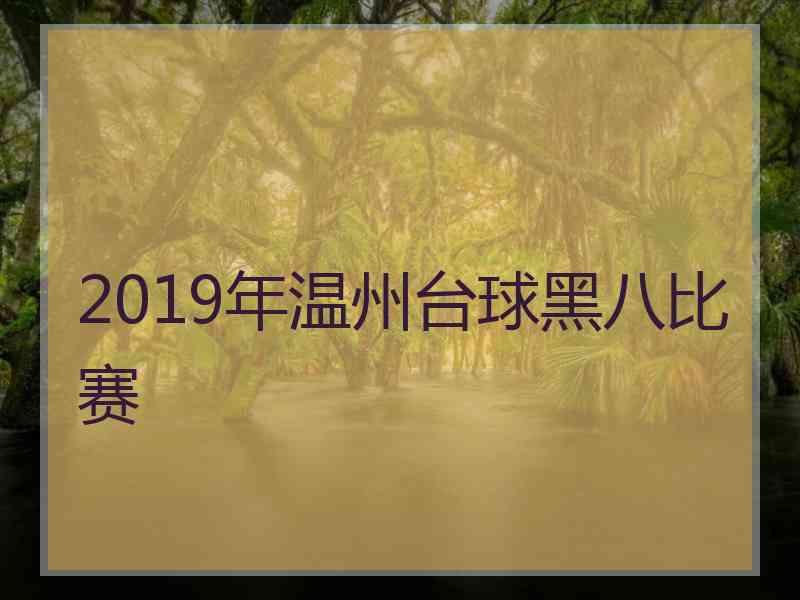 2019年温州台球黑八比赛