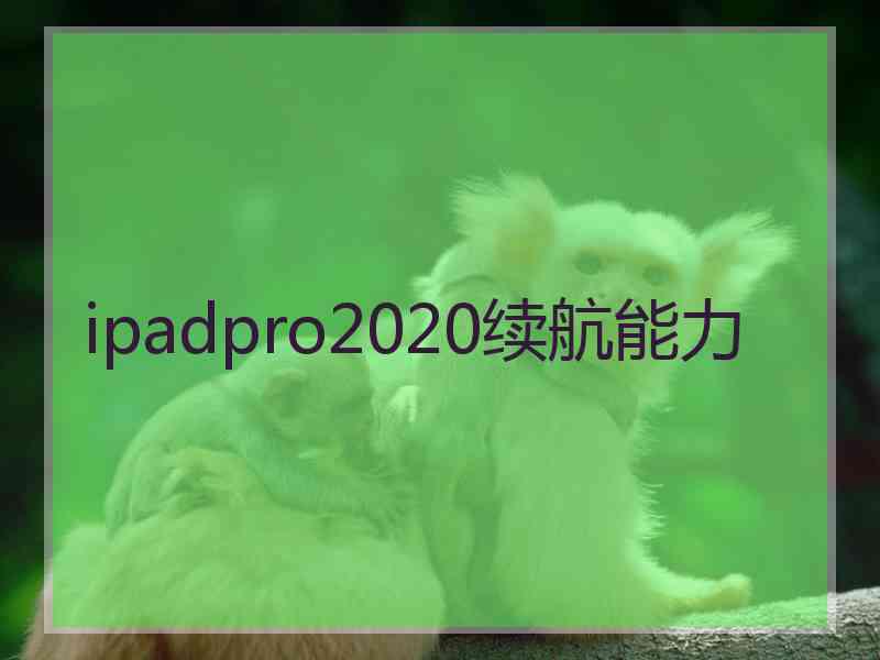ipadpro2020续航能力