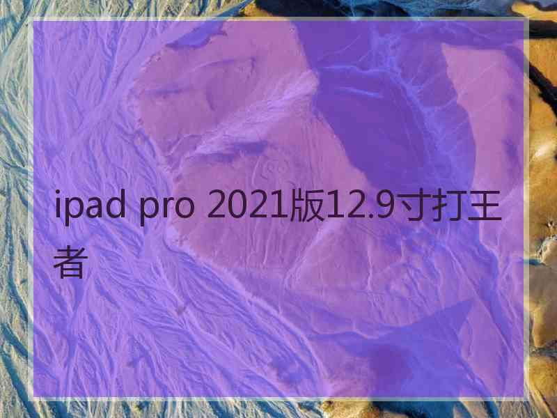 ipad pro 2021版12.9寸打王者