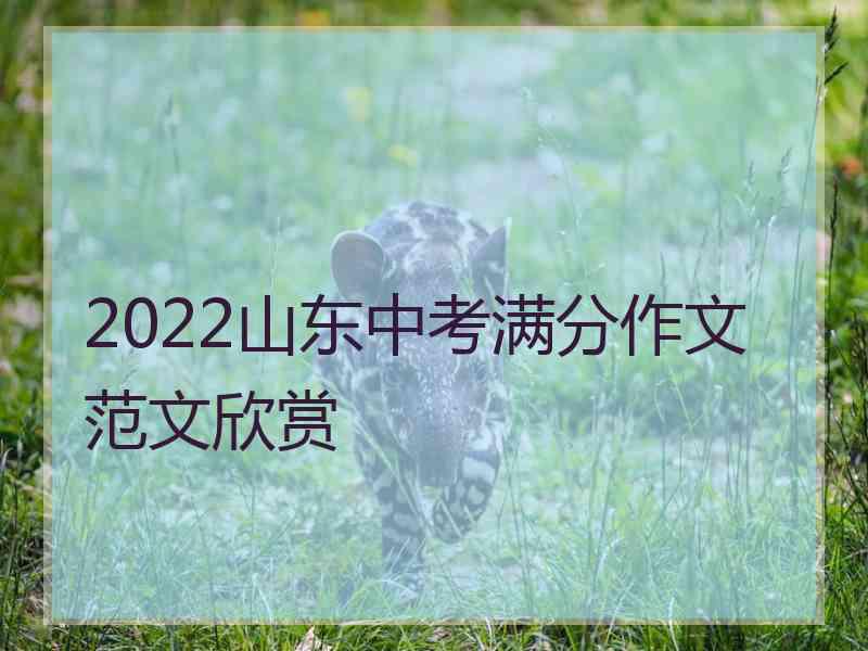 2022山东中考满分作文范文欣赏