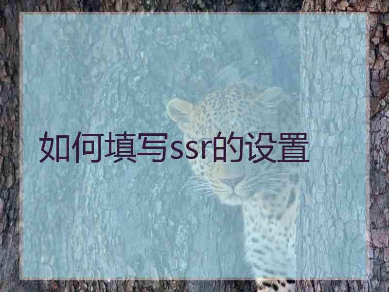 如何填写ssr的设置