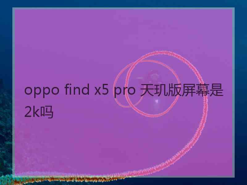 oppo find x5 pro 天玑版屏幕是2k吗