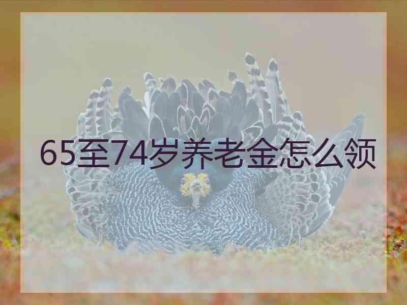 65至74岁养老金怎么领