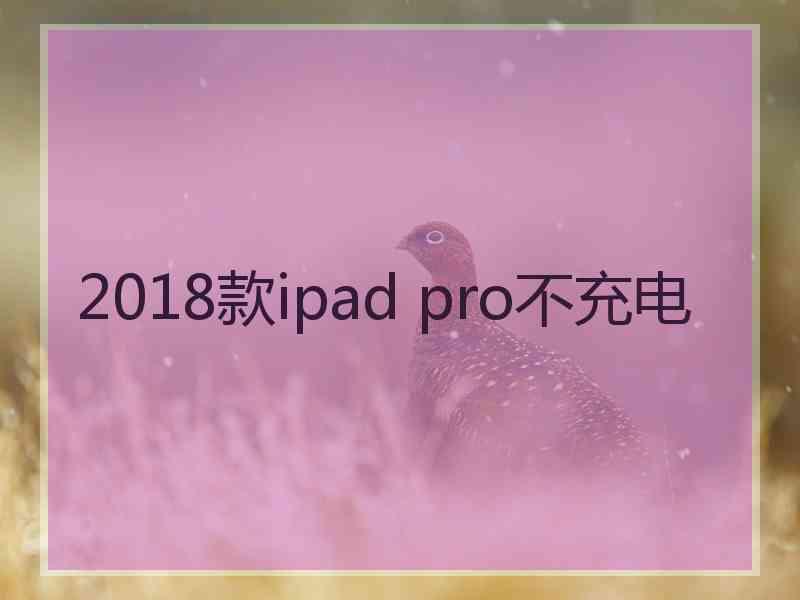 2018款ipad pro不充电
