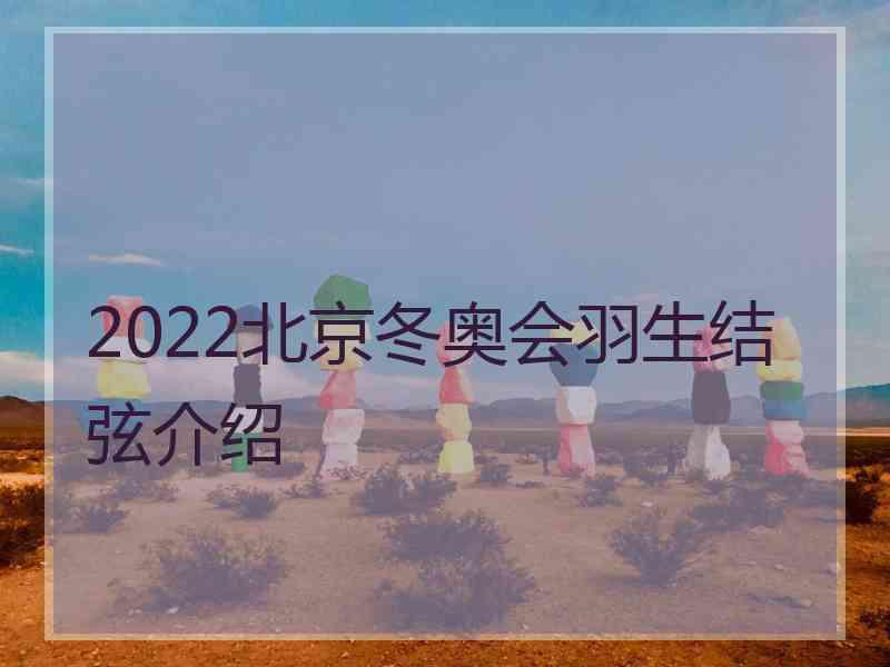 2022北京冬奥会羽生结弦介绍