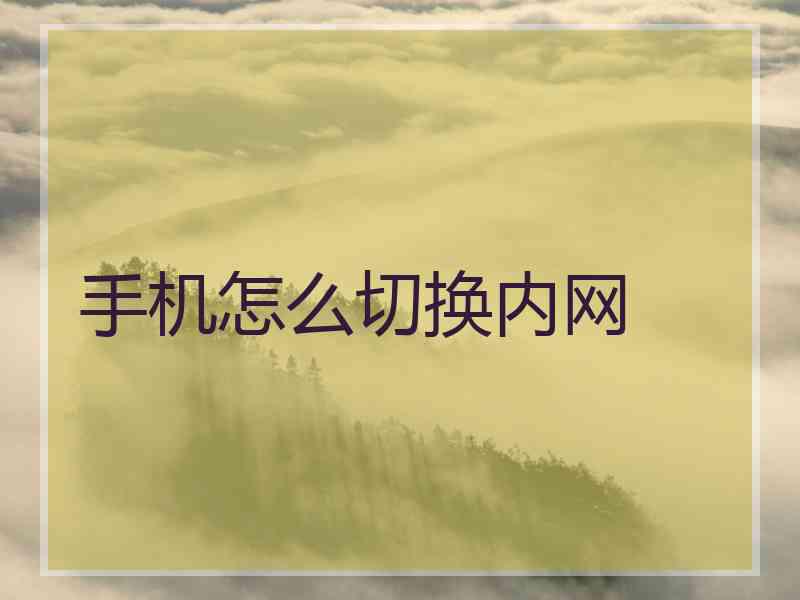 手机怎么切换内网