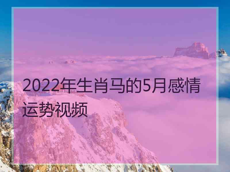 2022年生肖马的5月感情运势视频