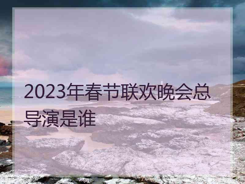 2023年春节联欢晚会总导演是谁