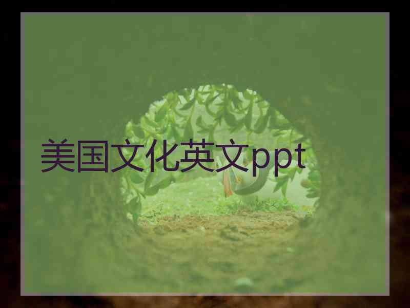 美国文化英文ppt