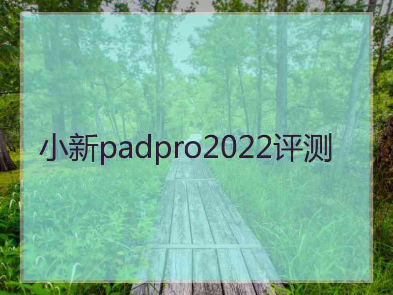 小新padpro2022评测