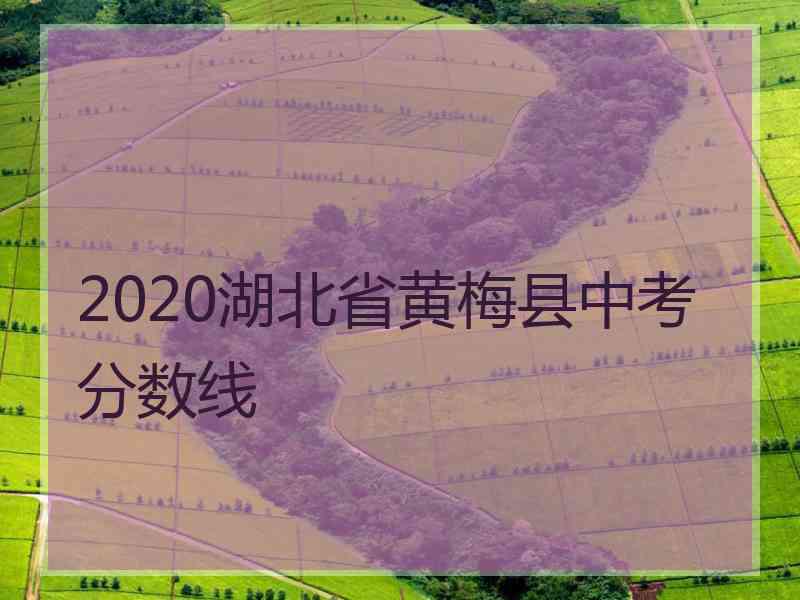 2020湖北省黄梅县中考分数线