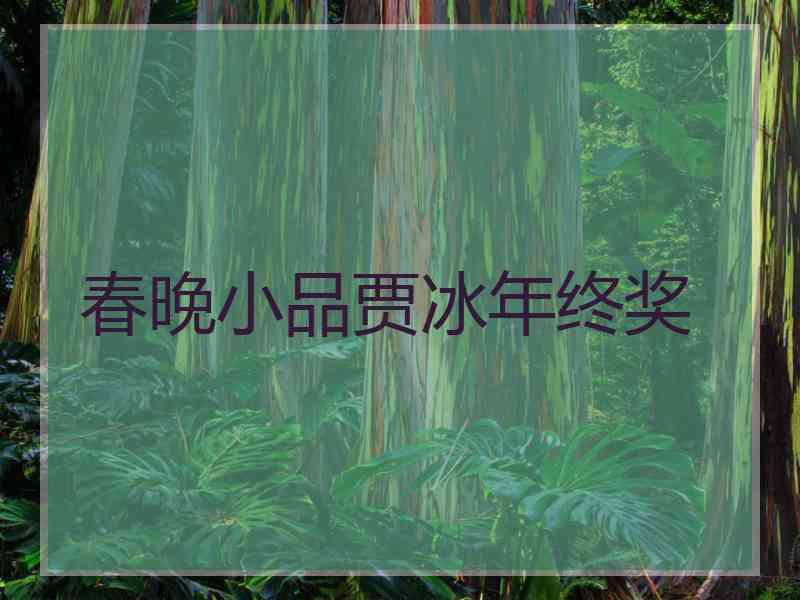 春晚小品贾冰年终奖