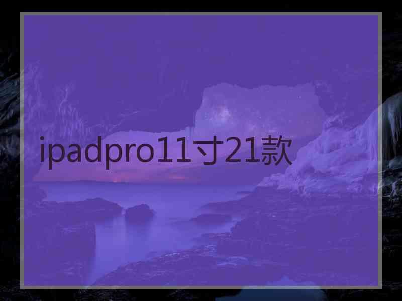 ipadpro11寸21款