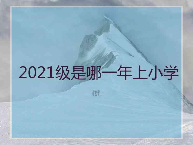 2021级是哪一年上小学