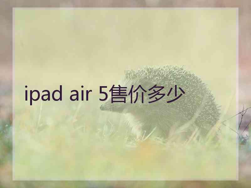 ipad air 5售价多少