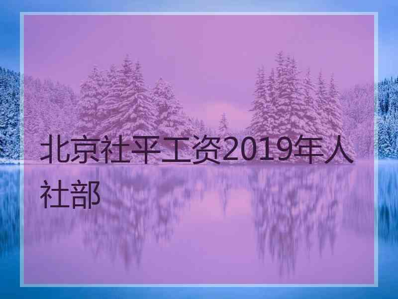 北京社平工资2019年人社部