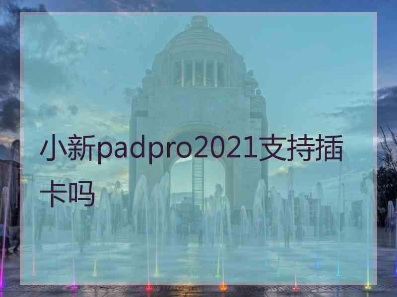 小新padpro2021支持插卡吗