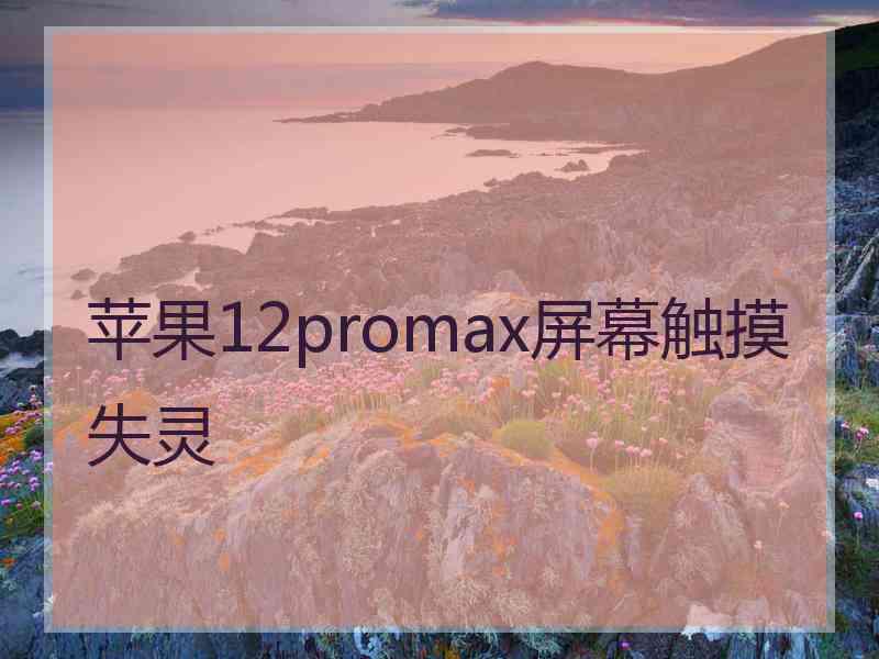 苹果12promax屏幕触摸失灵