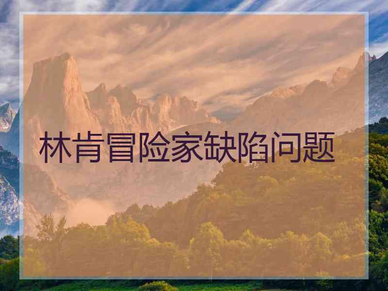 林肯冒险家缺陷问题
