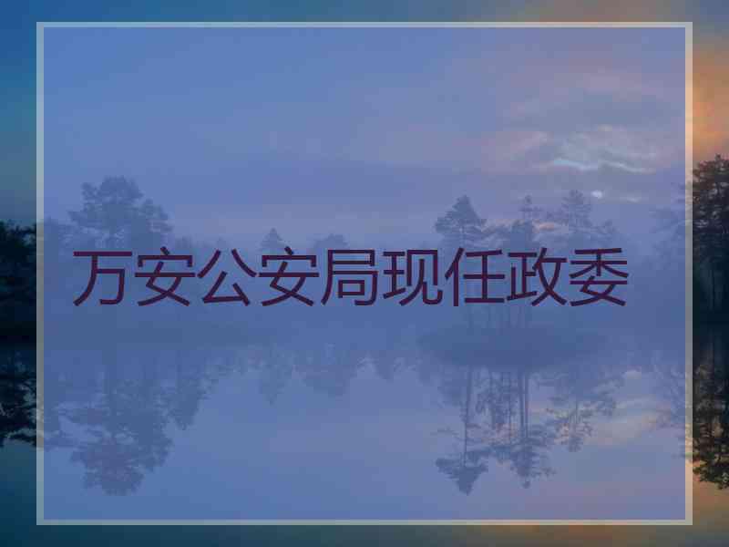 万安公安局现任政委