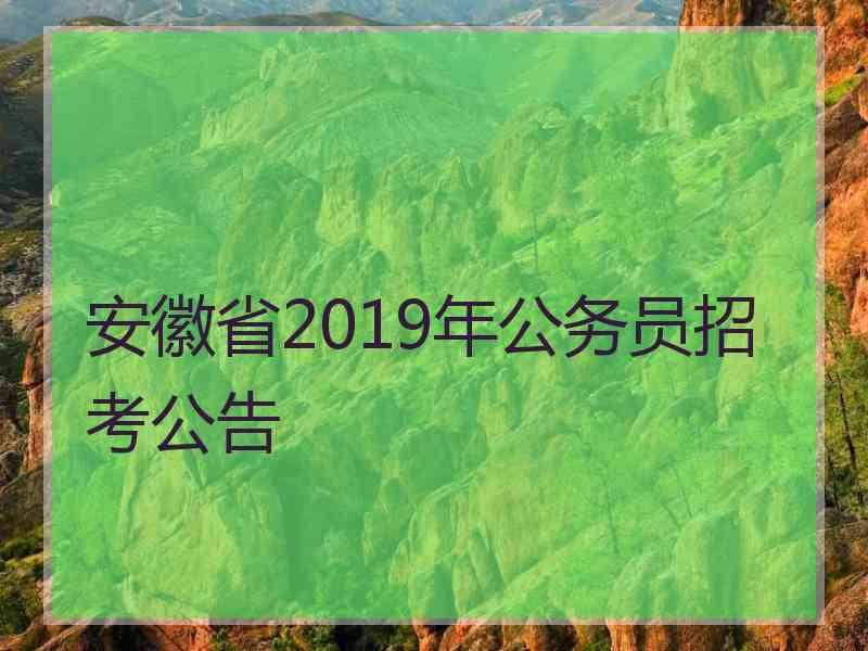 安徽省2019年公务员招考公告