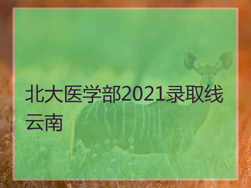 北大医学部2021录取线云南