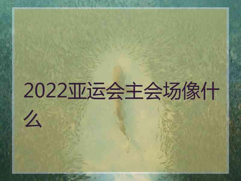 2022亚运会主会场像什么