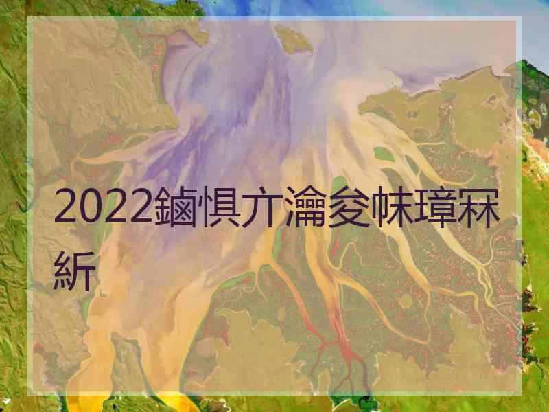 2022鏀惧亣瀹夋帓璋冧紤