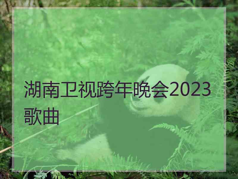 湖南卫视跨年晚会2023歌曲