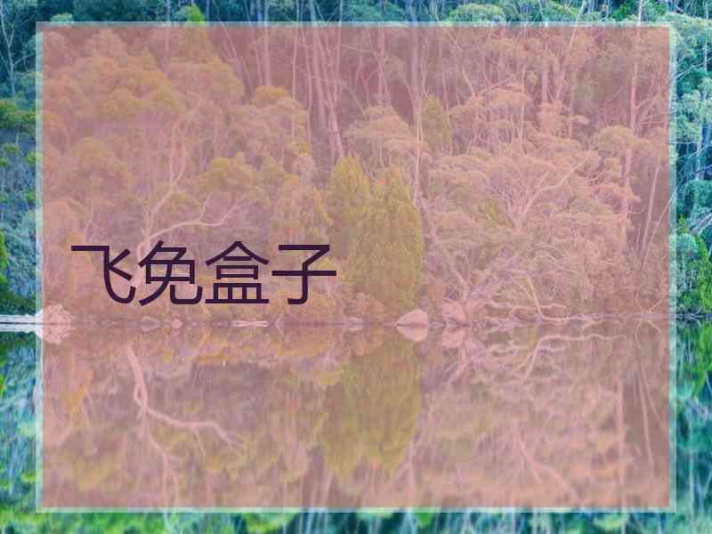 飞免盒子