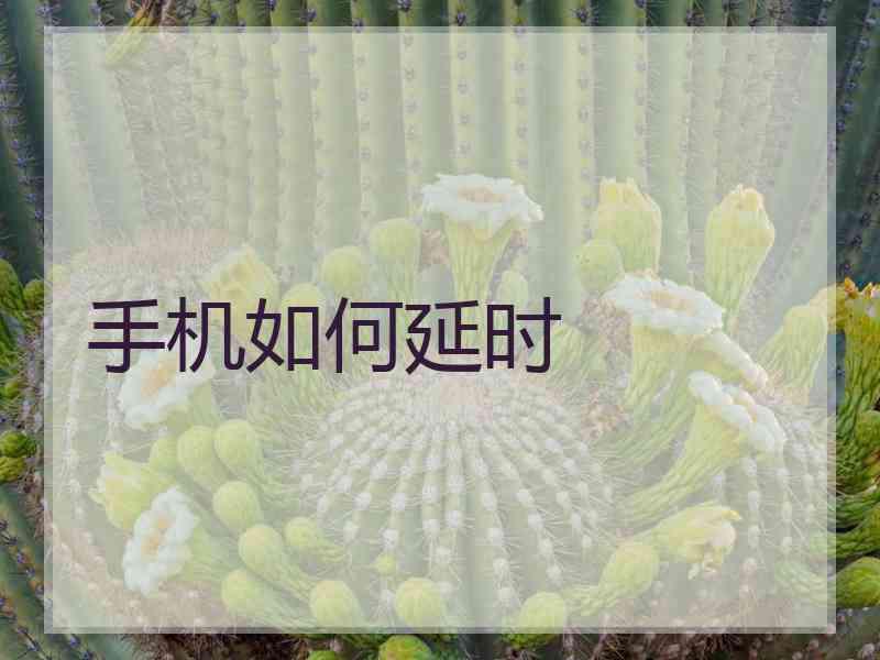 手机如何延时