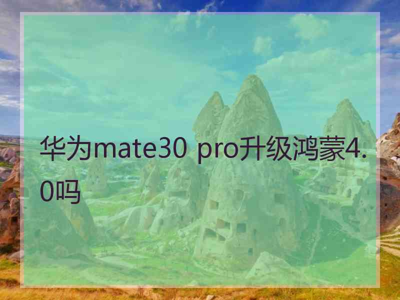 华为mate30 pro升级鸿蒙4.0吗