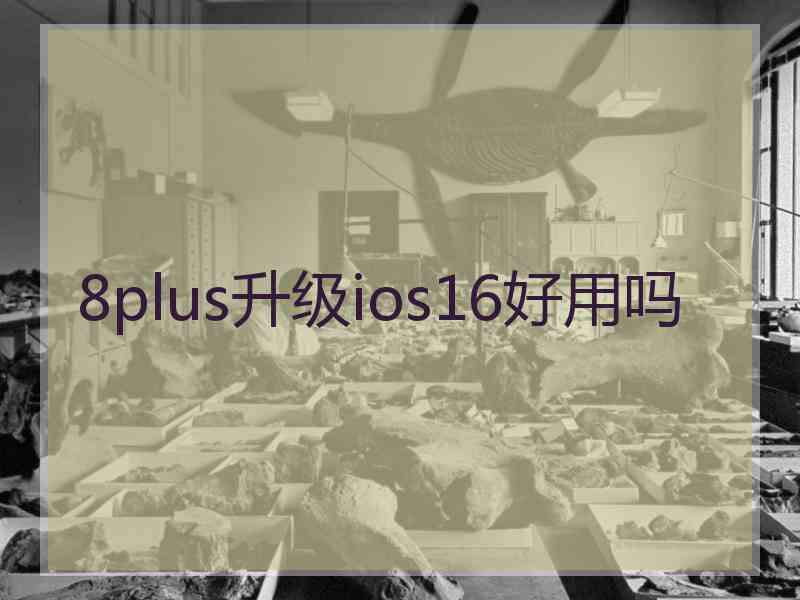 8plus升级ios16好用吗