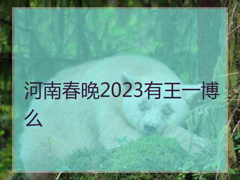 河南春晚2023有王一博么