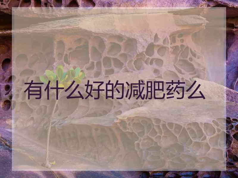有什么好的减肥药么
