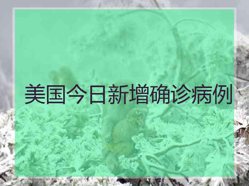 美国今日新增确诊病例