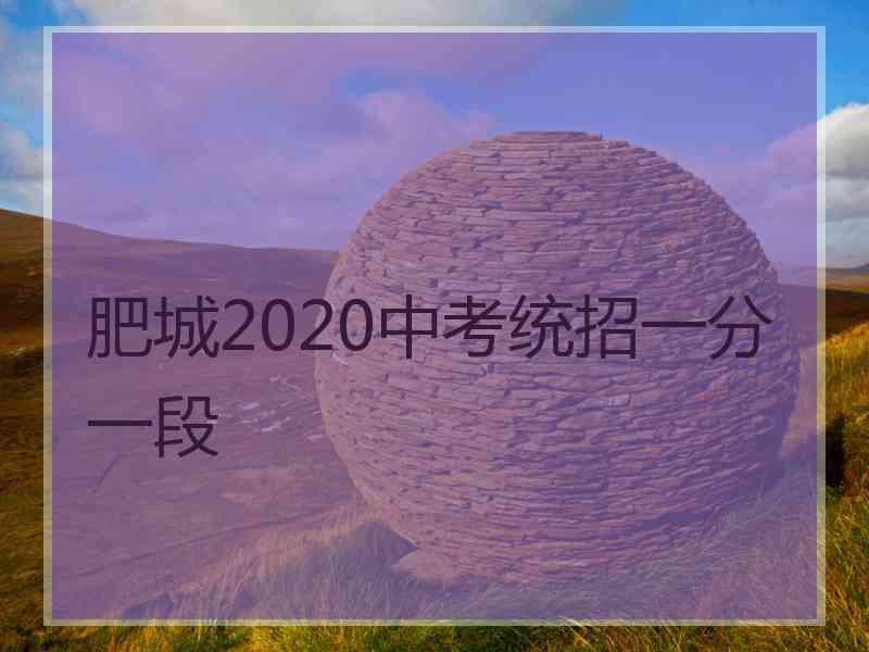 肥城2020中考统招一分一段