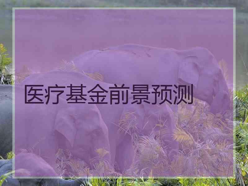 医疗基金前景预测