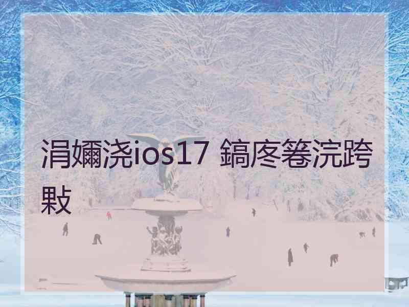 涓嬭浇ios17 鎬庝箞浣跨敤