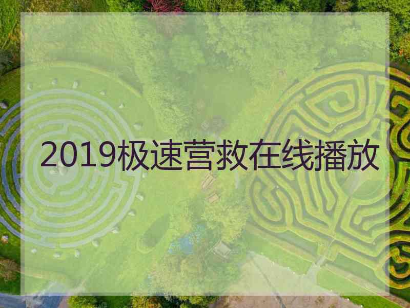 2019极速营救在线播放