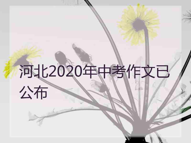 河北2020年中考作文已公布