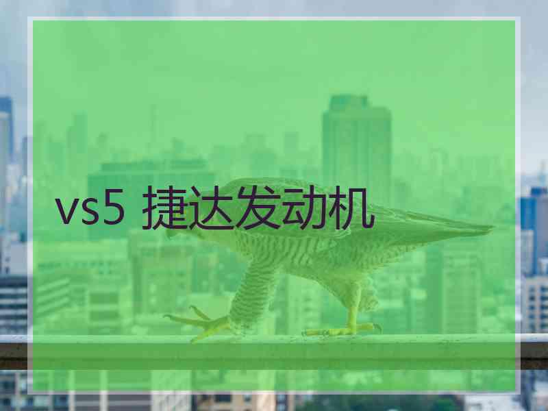 vs5 捷达发动机