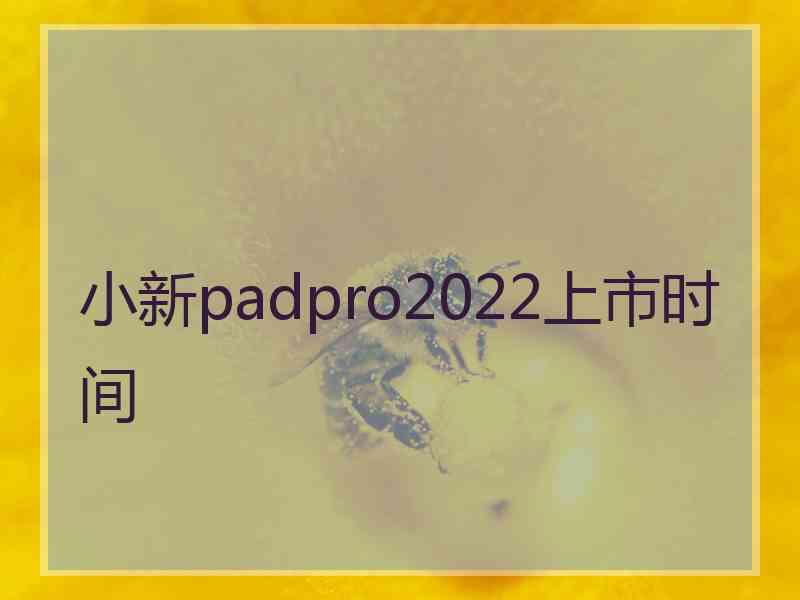 小新padpro2022上市时间
