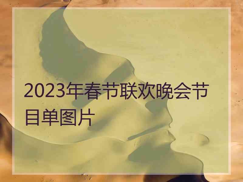 2023年春节联欢晚会节目单图片